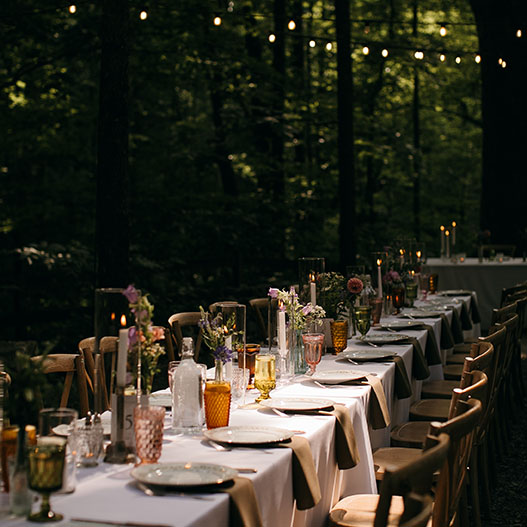 Outdoor Dinner